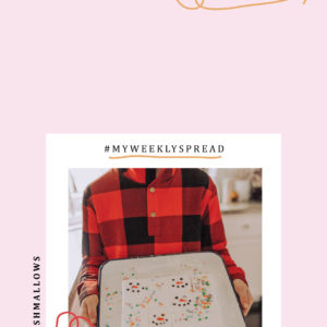 WEEKLY MEAL PLAN, FEBRUARY WK 2 0202-meal-plan-stories-1