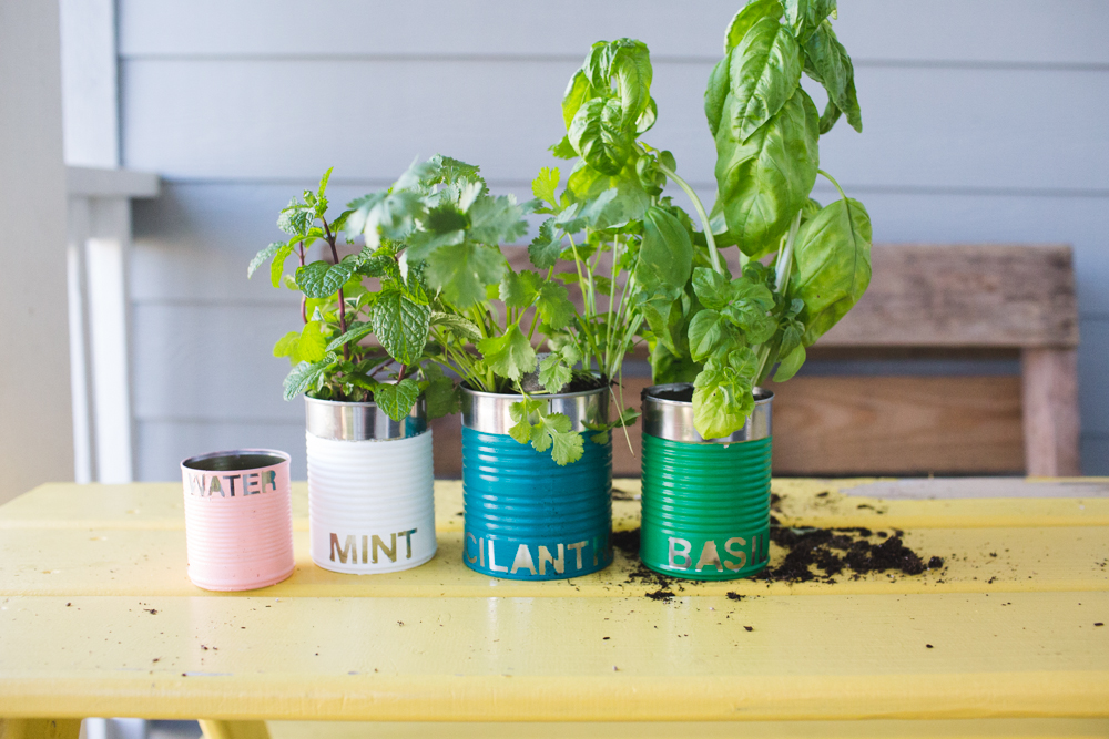 upcycled tin can herb garden-9978