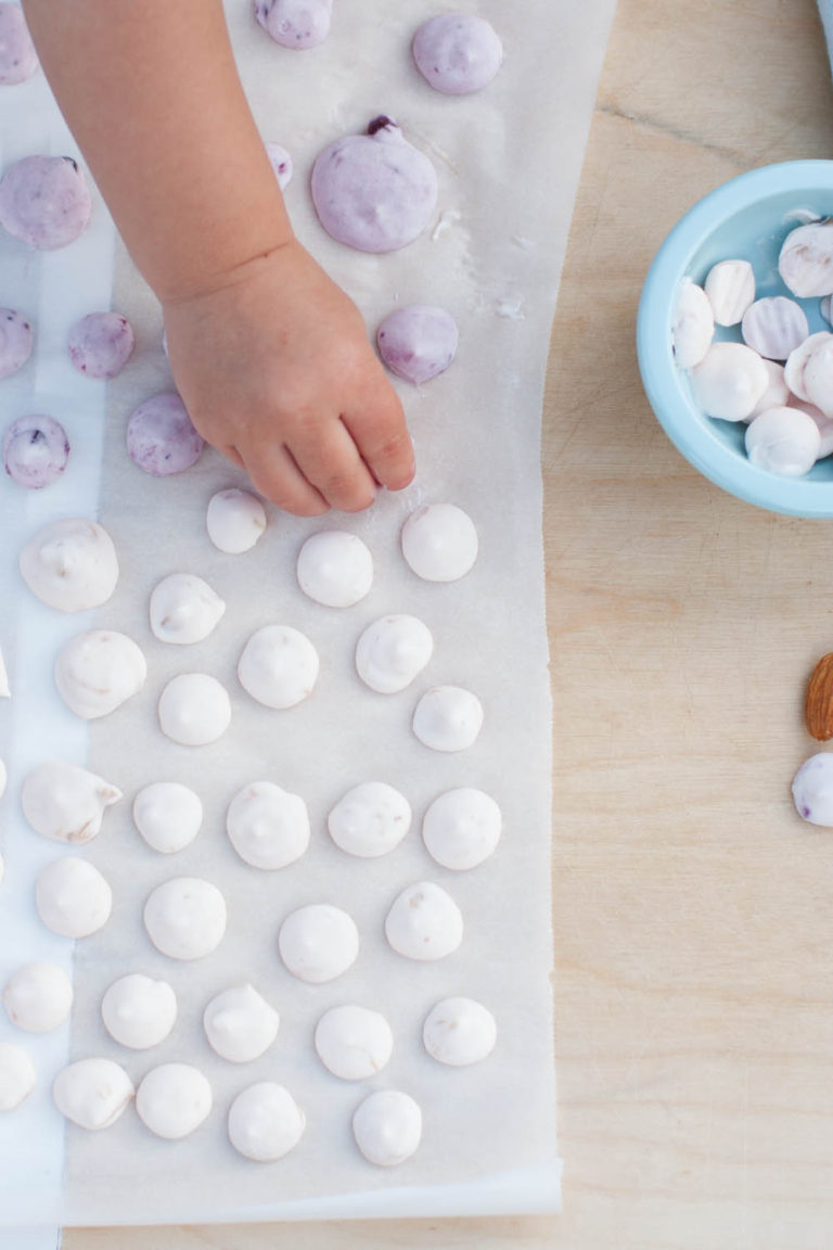 LITTLE BITES FROZEN YOGURT DOTS RAE ANN KELLY